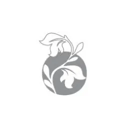 Bonin Alexandra Dipl.-Des.(FH) Logo