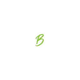 Brandfisher Werbeagentur Bremen Logo