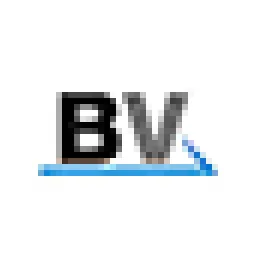Brandvelocity Logo