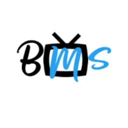 Braun Media Solutions Logo