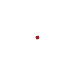 Browserwerk GmbH Logo