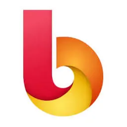 BUSSMANN DESIGN Logo