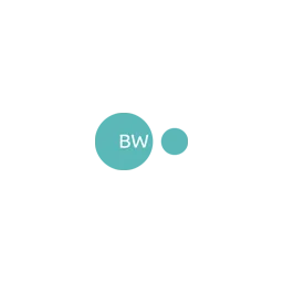 BW Webdesign Hannover – Agentur in Hannover