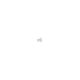 Christoph Runkel Internetprojekte Logo