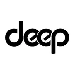 Deepsoul Marketing & Media Logo