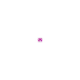 Designsquad Logo