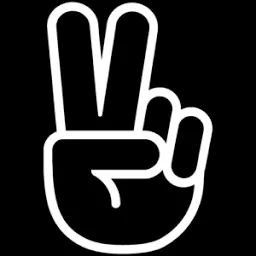 DIE WEBSUPPORTER - Agentur für digitale Medien und Print Logo