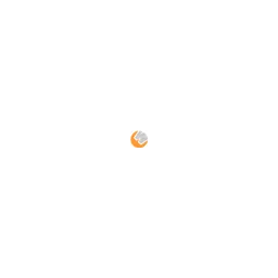 Enzmann Verena Webdesign Logo