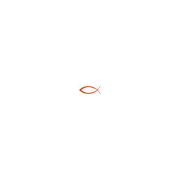 FRI-COM Webdesign / Suchmaschinenoptimierung in Hagen Logo