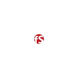 funsolutionS • marketing & medien GmbH Logo