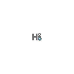 H2Online & Marketing Logo