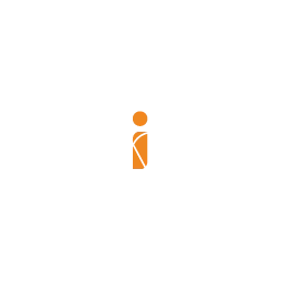 iCon Digital Solutions + Consulting Logo