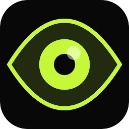 INsicht Logo