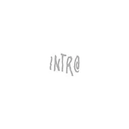 INTRO Marketing Michael Mürle Logo