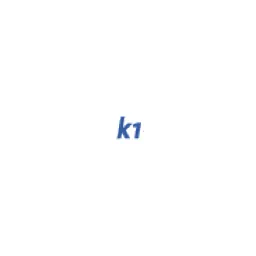 k1-media Inh. Kaliner Fabian Logo