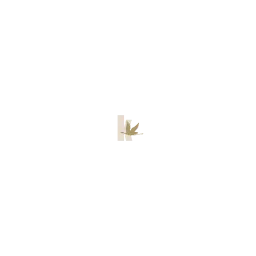 kakoii Berlin Design- und Werbeagentur Logo