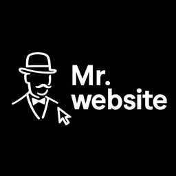Mr. Website Logo