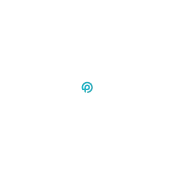 Platri IT GmbH Logo