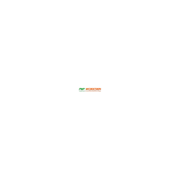 pmp-webdesign Logo