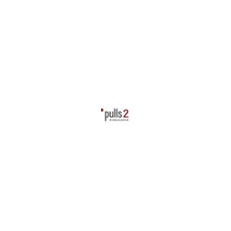Pulls2 Werbeagentur Logo