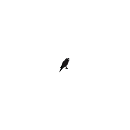 rabenschwarm Grieshaber & Partner Logo