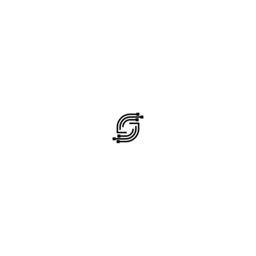 Salewski.IT Logo