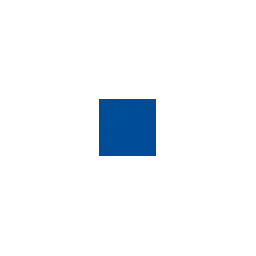 ScreenPublishing.de Logo