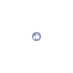 SocialMediaMix Logo