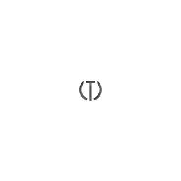 Tessmann Media Consulting Logo