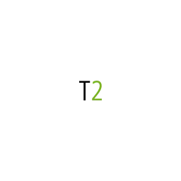TONE2TONE e.K. Logo