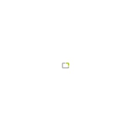 vicon Web Business Development Logo