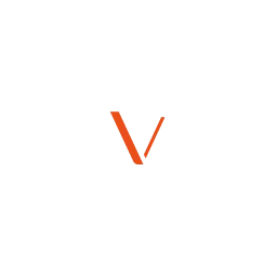 visible web Logo