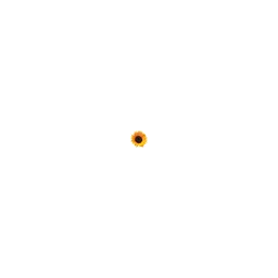 VSP Media Service Jens-Christian Porsch Dipl.-Ing. Logo