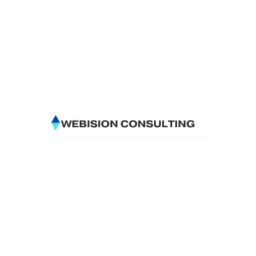Webision Consulting Logo