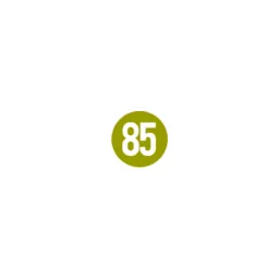 werk85 GmbH – Werbeagentur für Digital und Print Logo