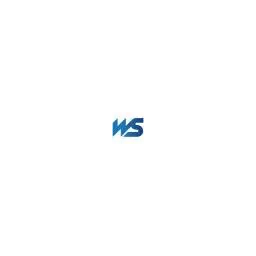 Winning Solutions - Webdesign & App-Entwicklung Logo