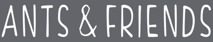 Ants & Friends – Agentur in Bremen