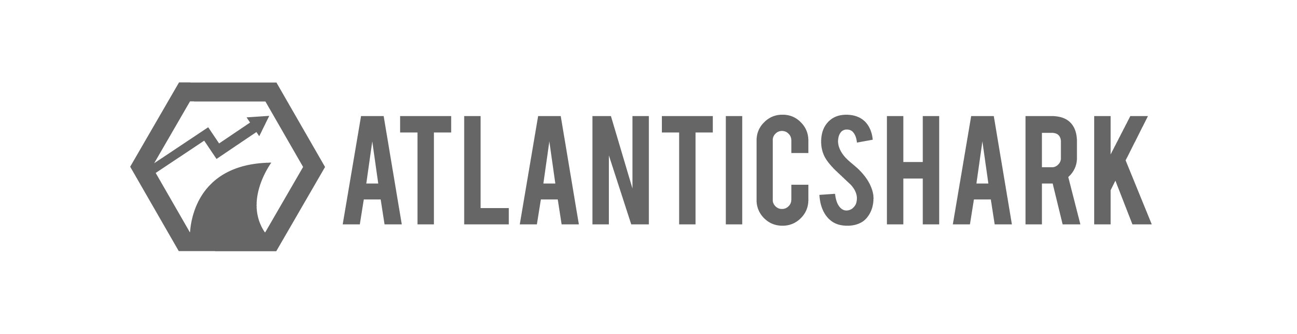 Atlantic Shark - Amazon Marketing Agentur – Agentur in Berlin