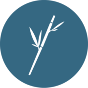 Bamboo Consulting GmbH – Agentur in Hamburg