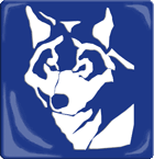BlueWolf Produktion – Agentur in Mölln