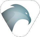 Buzzard AI – Agentur in Erlensee