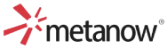 Metanow Logo