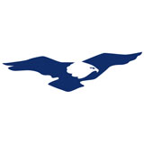 Eagle Online Marketing GmbH & Co. KG Logo