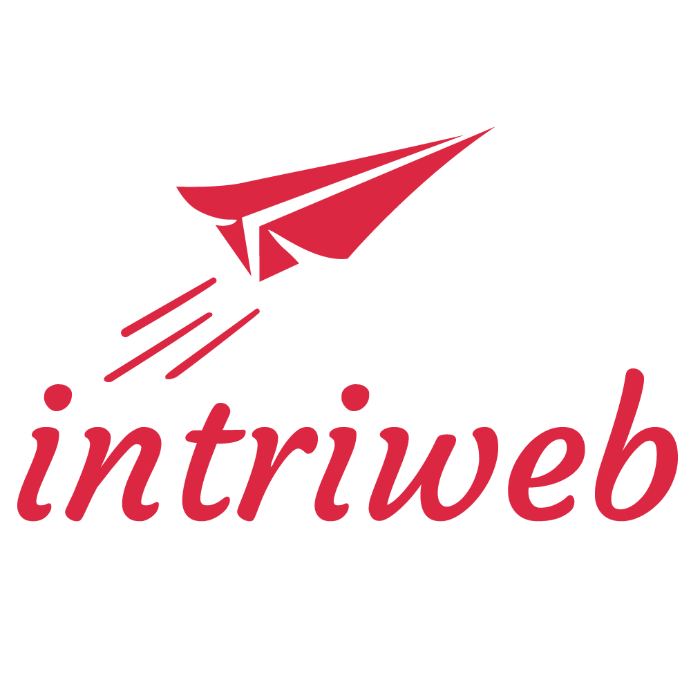 INTRIWEB Webagentur - Webdesign, Webshops, Seo und mehr Logo