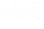 KOOP INDUSTRIAL DESIGN – Agentur in Rellingen