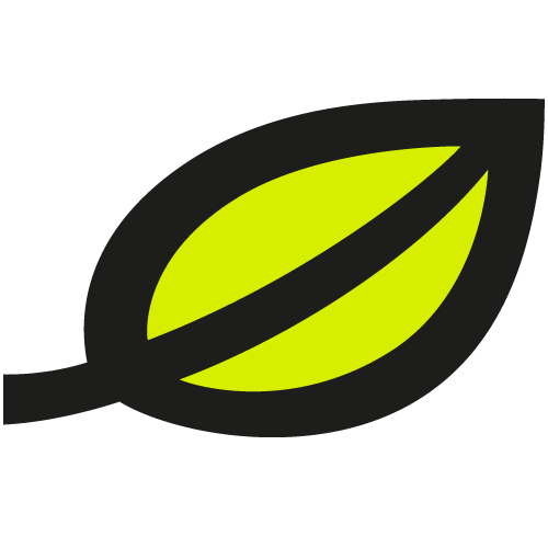 lise GmbH - Softwareentwicklung – Agentur in Köln