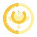 MyQuests Online Marketing – Agentur in Hamburg