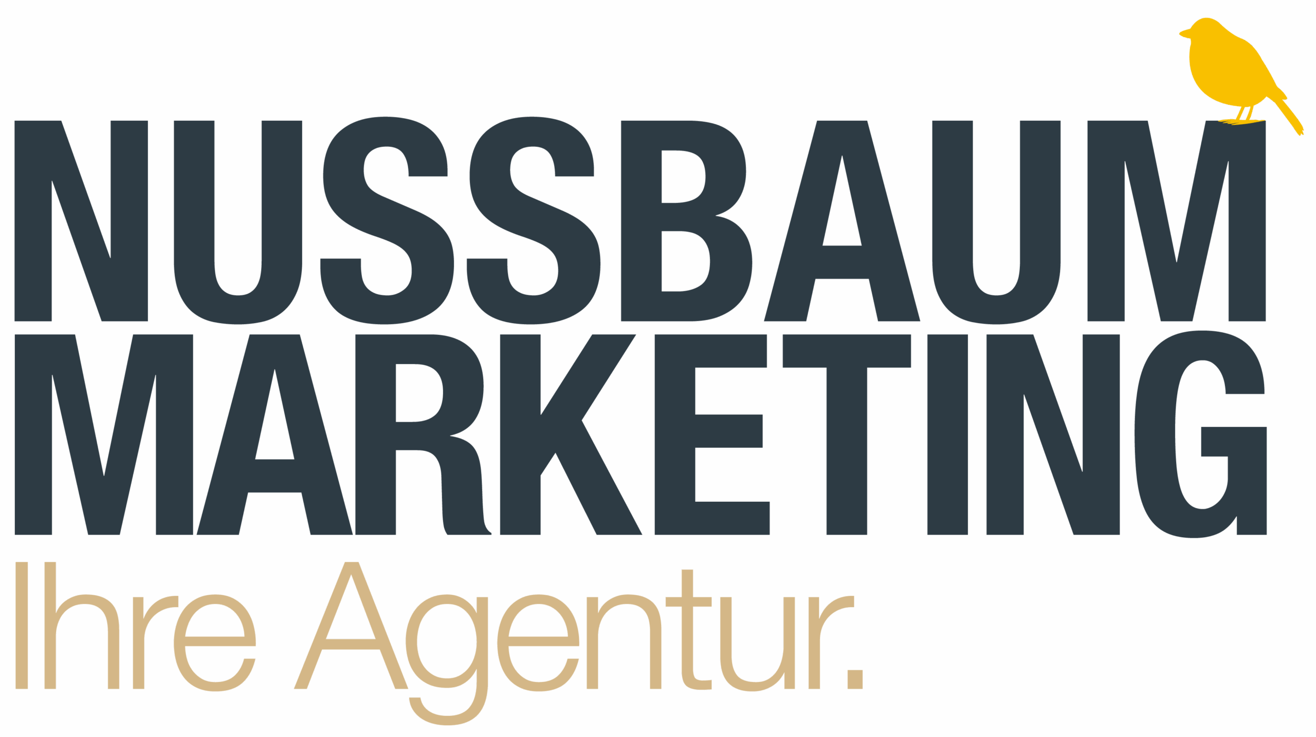 NUSSBAUM Marketing Logo