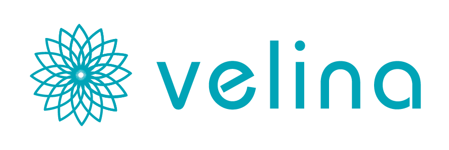 velina – Agentur in Lindau