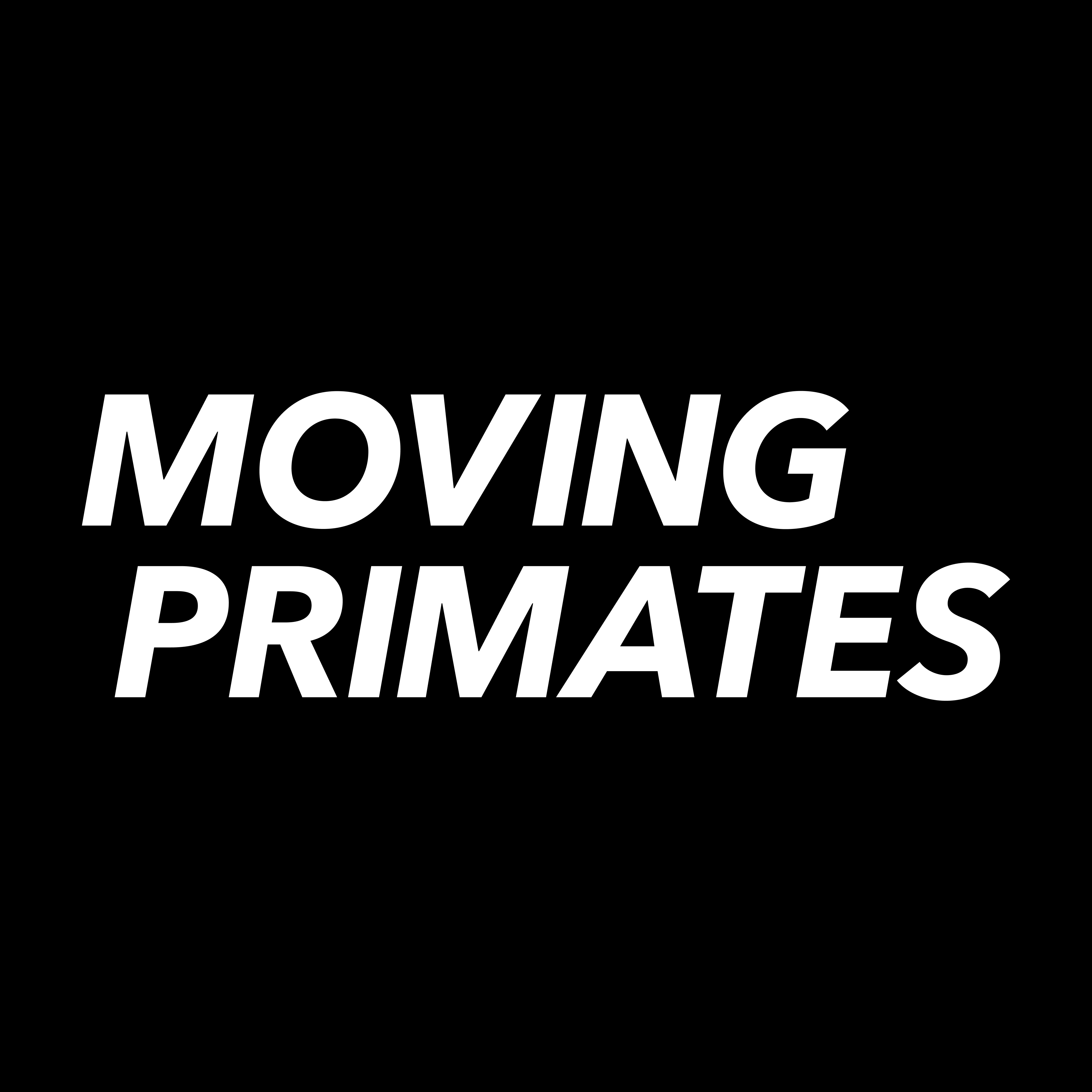 Moving Primates GmbH – Agentur in München